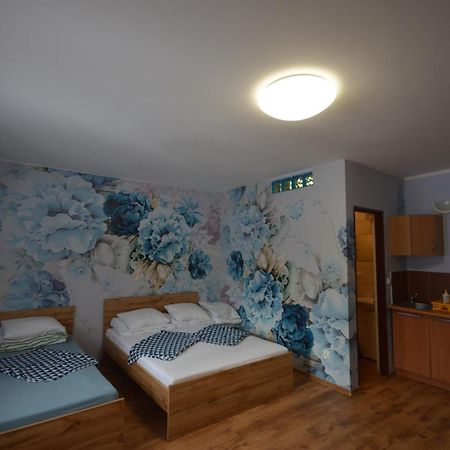 Pod Modrzewiem Mieszkania Wakacyjne Duszniki Zdrój Extérieur photo