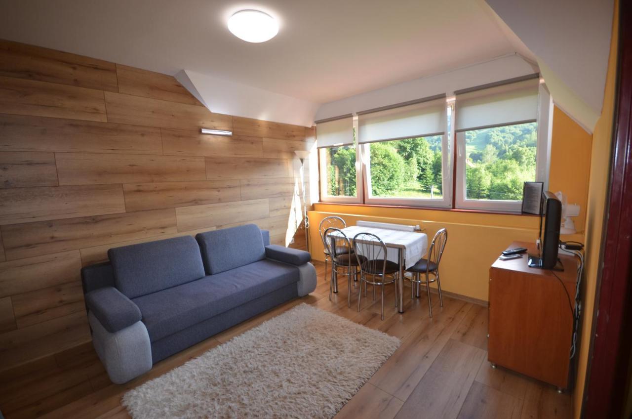Pod Modrzewiem Mieszkania Wakacyjne Duszniki Zdrój Extérieur photo