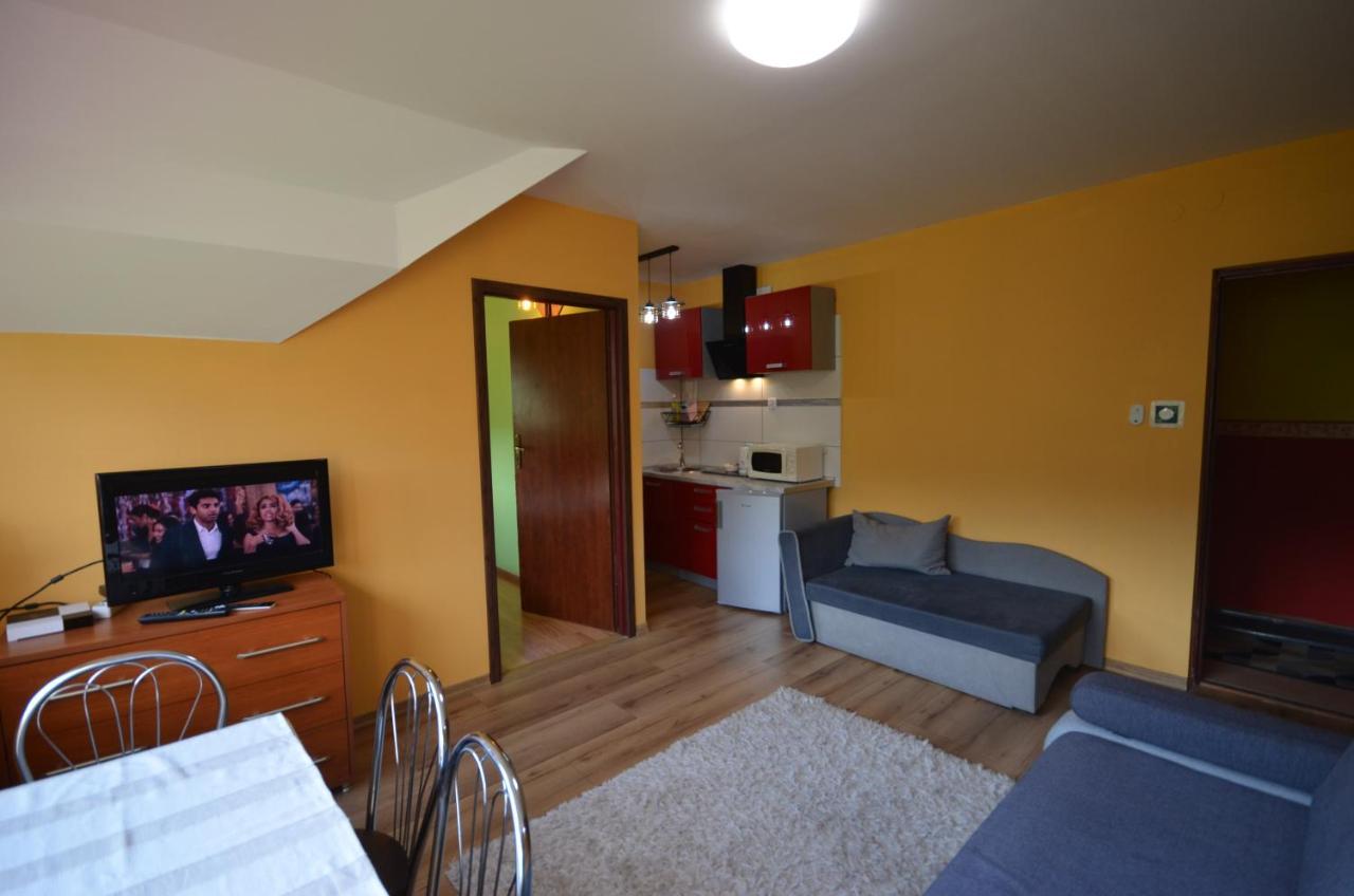 Pod Modrzewiem Mieszkania Wakacyjne Duszniki Zdrój Extérieur photo