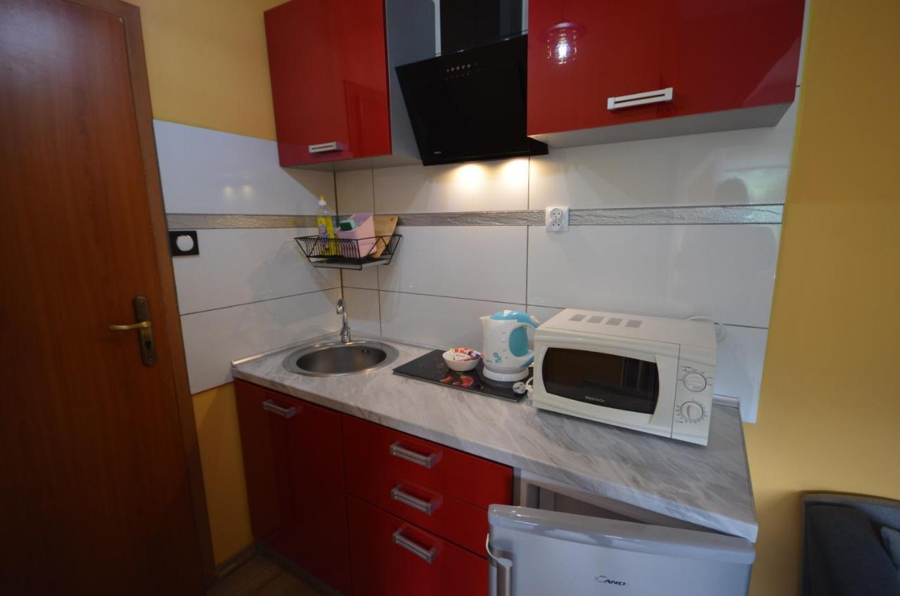 Pod Modrzewiem Mieszkania Wakacyjne Duszniki Zdrój Extérieur photo