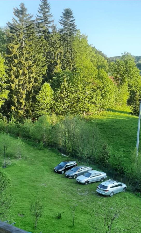 Pod Modrzewiem Mieszkania Wakacyjne Duszniki Zdrój Extérieur photo