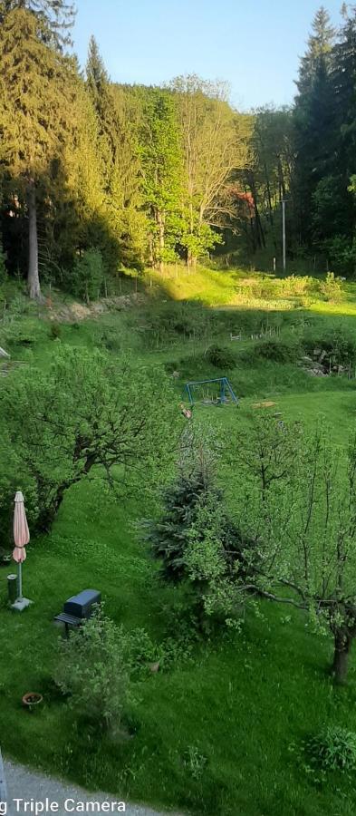 Pod Modrzewiem Mieszkania Wakacyjne Duszniki Zdrój Extérieur photo