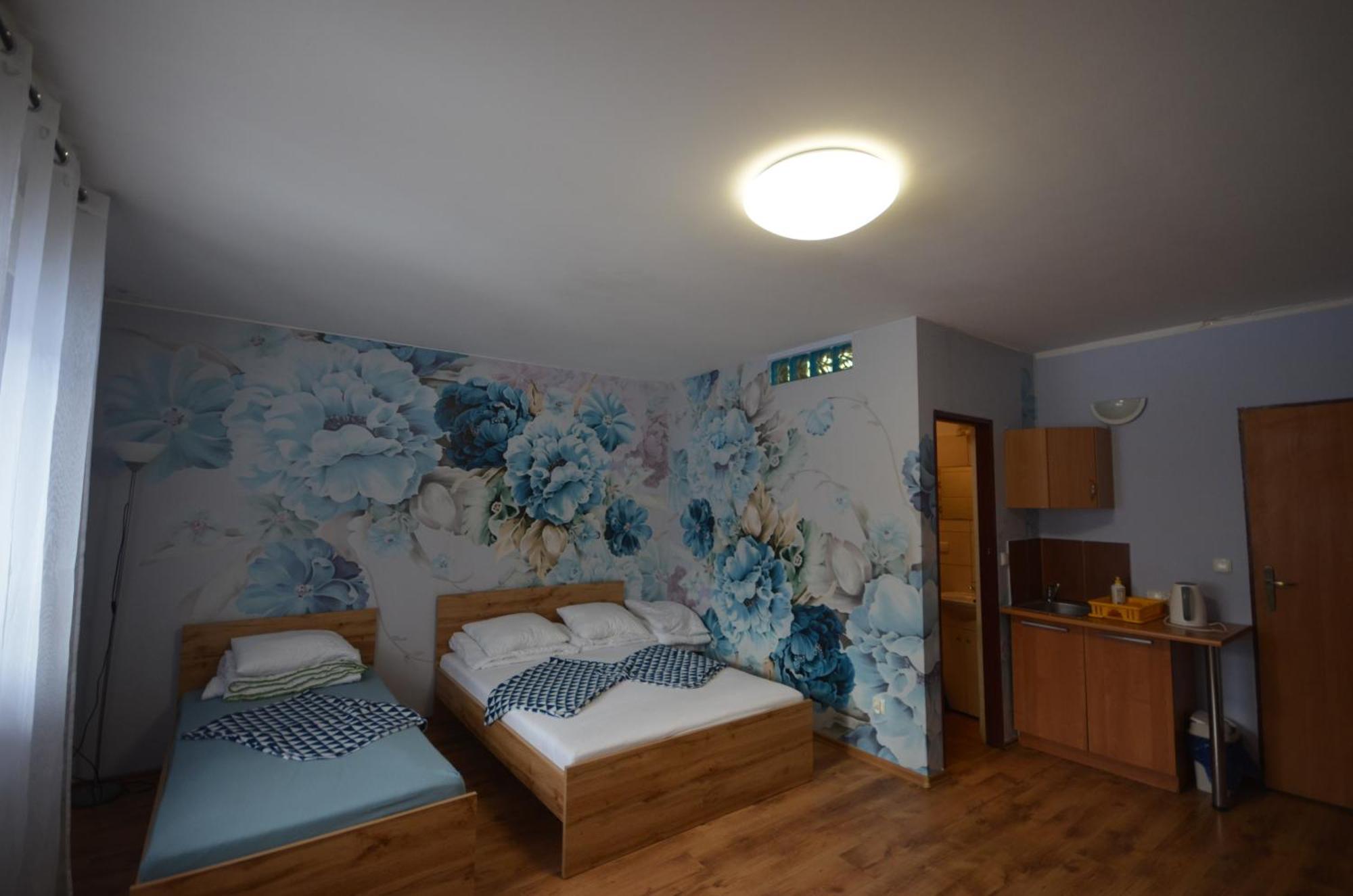 Pod Modrzewiem Mieszkania Wakacyjne Duszniki Zdrój Extérieur photo